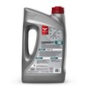 TRIAX Kompressor MV 100 SAE 30, Full Synthetic, Multi-Vis Air
