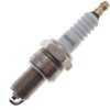 Jardiaffaires Champion RN9YC Spark Plug for Thermal Engine