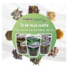 Té Quiere Te eucalipto en herbal Sin ser Amargo 50 g