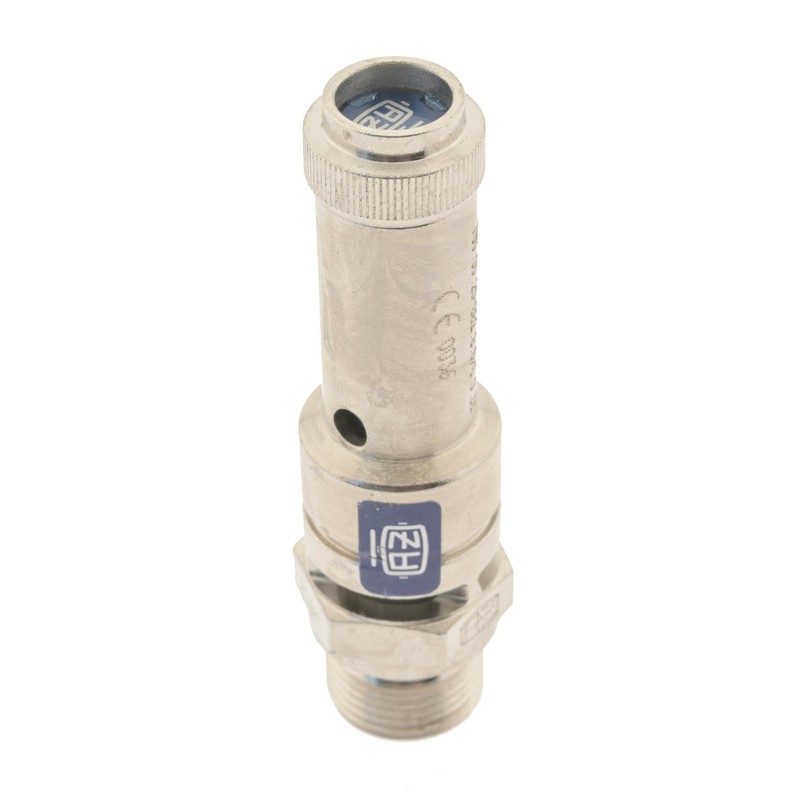 TÜV Safety Valve G 1/4 Inch (DN8) 10.00 Bar Nickel-Plated