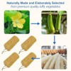 Ahatopia Materiales Lufa Natural Real Nuestras Esponjas Están Hechas Exclusivamente