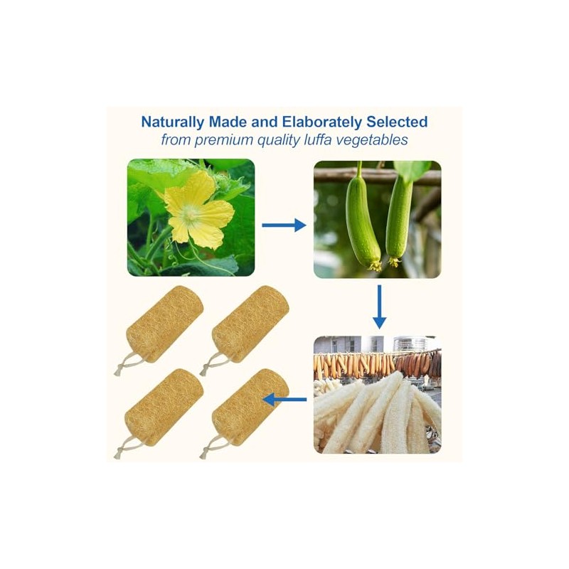 Ahatopia Materiales Lufa Natural Real Nuestras Esponjas Están Hechas Exclusivamente