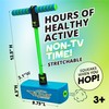 Flybar My First Foam Pogo Jumper for Kids Fun and