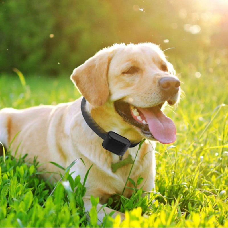 Electric Dog Fence System with Collar Receiver Only Wire Pro