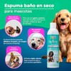 Fancy Pets Espuma P/BAÑO EN SECO Essentials 300 G