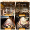 SunBonar Solar Shed Lights Indoor 2 Pack, 3200K/4000K/6000K Dimmable Daytime