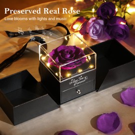 Emibele Necklaces Rose Box, Necklace Made of 925 Silver with 100 Languages for Mother Girlfriend, Rose Box Music Box with Preserved Flowers & Light for Birthday, Christmas Day, Gift - Purple + Silver