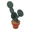 6PCS Cactus Coaster Set Heat Insulation Antislip Multifunctional DIY Funny