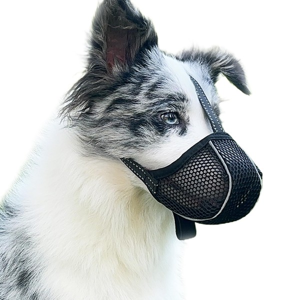 Muzzle for Large Dogs, Prevent Chewing/Eating/Biting Dog Muzzle Breathable Reflective