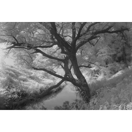 Hoya 58mm Infrared R72 Filter