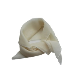 TFJ Women Fashion Neck Scarf Sheer Floral Fabric Pocket Square Cream Off White
