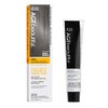 AGEbeautiful Permanent Liqui Creme Hair Color Dye | 100% Gray