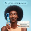 Hydro Rush Intense Moisture Leave In Conditioner by Amika for