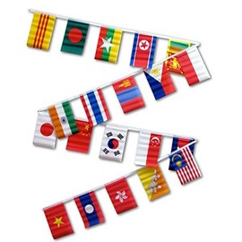 30ft String Flag Set Of 20 Asian Flags