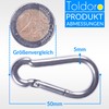 Toldoro Niro AISI 316 V4A Stainless Steel Carabiner 5 x