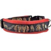 Halsband Rauhaardackel Größe SM 35-40 cm Halsumfang