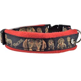 Halsband Rauhaardackel Größe SM 35-40 cm Halsumfang