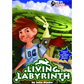 Living Labyrinth Game