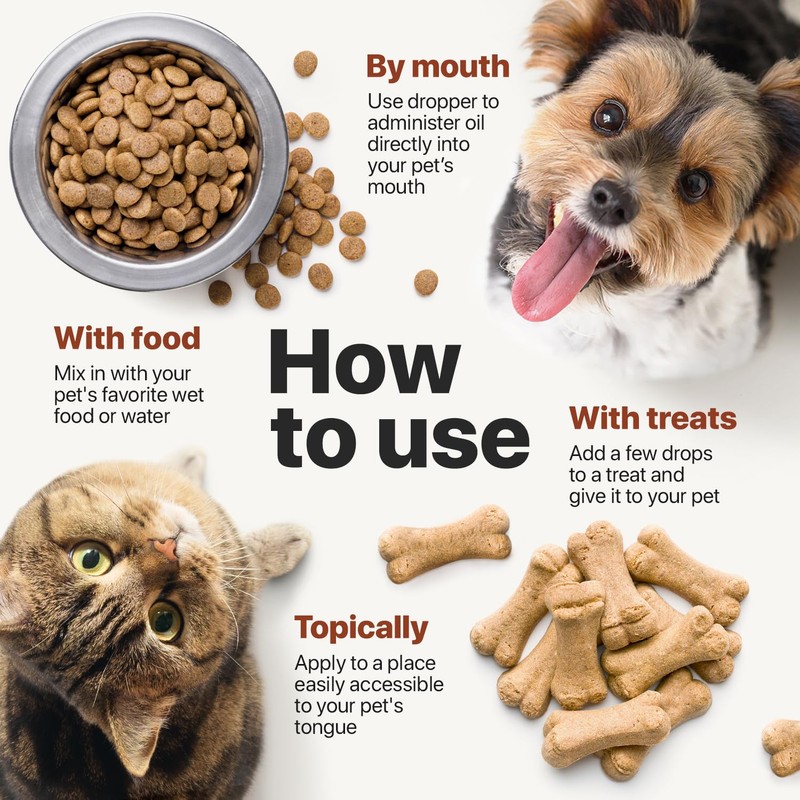 Charlie Buddy - Hеmp Oil for Dogs Cats - Hip