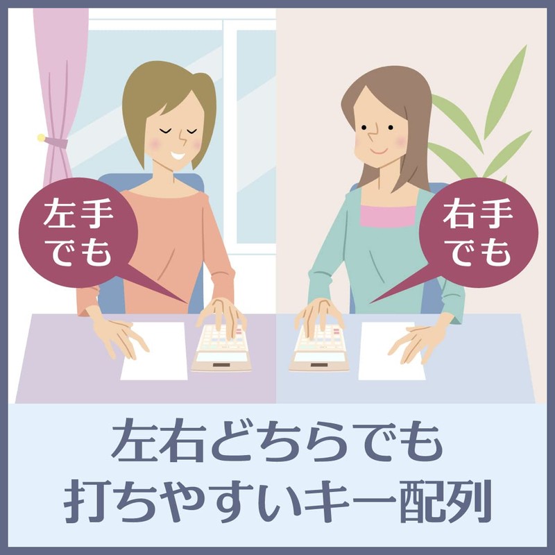 カシオ 本格実務電卓 10桁 検算機能 グリーン購入法適合 デスクタイプ DS-10WK