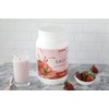 Bariatric Fusion Reemplazo de Comida 2 lb, sabor Tarta de