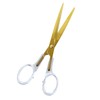 Gartner Studios Acrylic Scissors, Clear and Gold, 7”