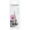 3 Claveles 2014 Straight Scissors Nail File 4 "
