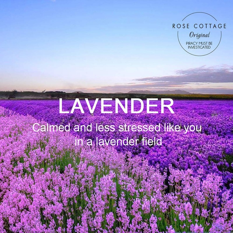 ROSE COTTAGE Large 12 Packs Lavender Hanging Closet Deodorizer Air