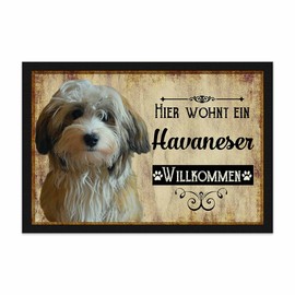 PR Print Royal Doormat Pets with Dog Picture Havanese - Gift Idea for Dog Lovers and Dog Owners - Size 75 x 50 cm