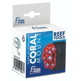 Fauna Marin Coral Mount
