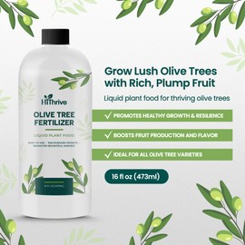 16oz Olive Tree Fertilizer – Makes 16 Gallons of Olive Plant Food – 2-in-1 Liquid Plant Food with Macronutrients + Micronutrients for Lush Foliage, Strong Roots, Bountiful Harvests & Plump Fruits