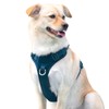 No Pull Dog Harness for Small Medium Large Dogs -