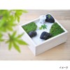 SEISHIN TOUGEI Moss Garden Kit