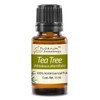 Tea Tree (Arbol de Te) - Aceite Esencial Puro 15