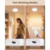 SURAIELEC Rechargeable Ceiling Light with Wall Switch, 8000mAh Battery Ceiling