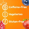 Emergen-C Emergen-C Kidz Daily Immune Support Dietary Supplements, Flavored Gummies