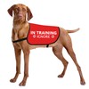 HOLLP Training Dog Jacket Vest In Training Ignore Dog Vest