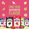 Wiley Wallaby Mini Licorice Bites 2.0 Ounce Classic Gourmet Soft