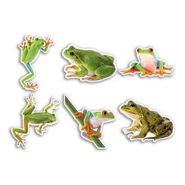 6 x 10cm Frog Vinyl Stickers - Tree Red Eye Funny Animal Pattern Nature Pets Face Wild Girls Boys Travel Scrapbooking #80817