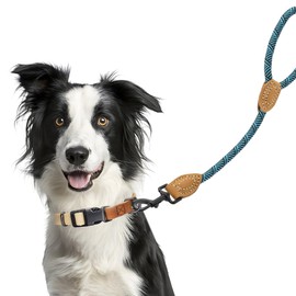 Mile High Life Short Dog Leash| Short Leash for Large Dogs| Mountain Climbing Dog Rope Leash with Heavy Duty Metal Sturdy Clasp | Genuine Leather Tailored Connection(Green, 18 Inch)