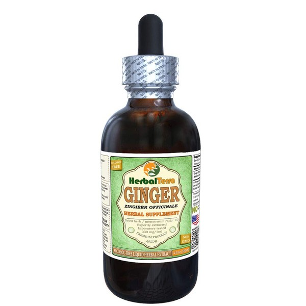 Ginger (Zingiber Officinale) Glycerite, Organic Dried Root Alcohol-Free Liquid Extract (Brand Name: HerbalTerra, Proudly Made in USA) 4 fl.oz (120 ml)