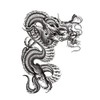 EROSPA® Temporary Tattoo Sheet / Sticker Dragon Dragon 15 x