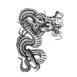 EROSPA® Temporary Tattoo Sheet / Sticker Dragon Dragon 15 x 22 cm
