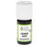 Aspic Lavender essential oil (organic)