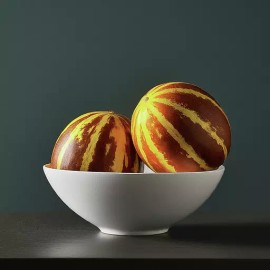 Tiger Melon Seeds  Rare and Exotic Seeds Garden Seeds Like Kajari Melons - USA