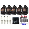 JSI Maxima Oil Kit Yamaha Road Star XV1600 XV1700 Oil