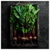Everwilde Farms - 1/4 Lb Organic Lutz Green Leaf Beet