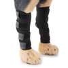 Dog Rehab Supplies, Small Dogs, Medium and Large Dogs, Supporter,