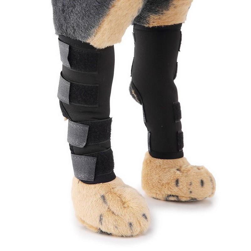 Dog Rehab Supplies, Small Dogs, Medium and Large Dogs, Supporter,