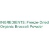 KOYAH - Organic USA Grown Broccoli Powder (1 Scoop Equivalent